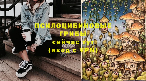 дживик Абаза