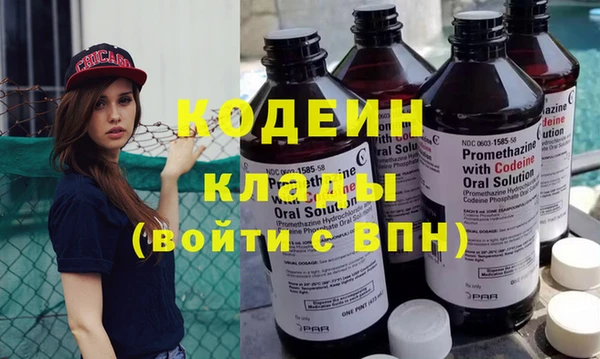 дживик Абаза
