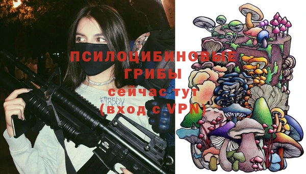 PSILOCYBIN Алексеевка