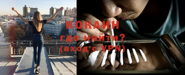 дживик Абаза