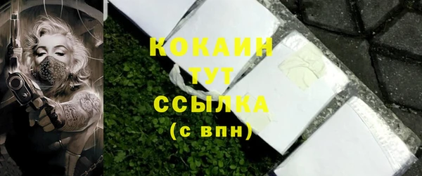 дживик Абаза