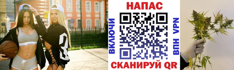 МАРИХУАНА гибрид  где найти   Сурск 